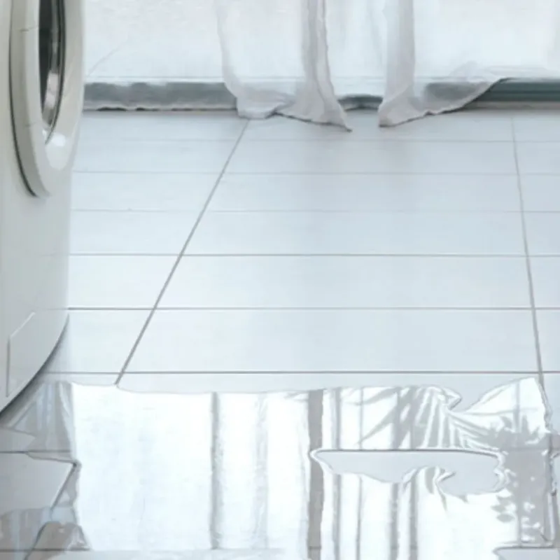 Appliance Leak Cleanup in Silverthorne, CO